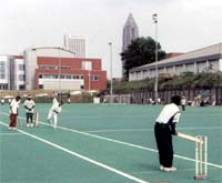 Cricket 2002 Picture