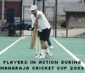 Picture from Vibha Mixer